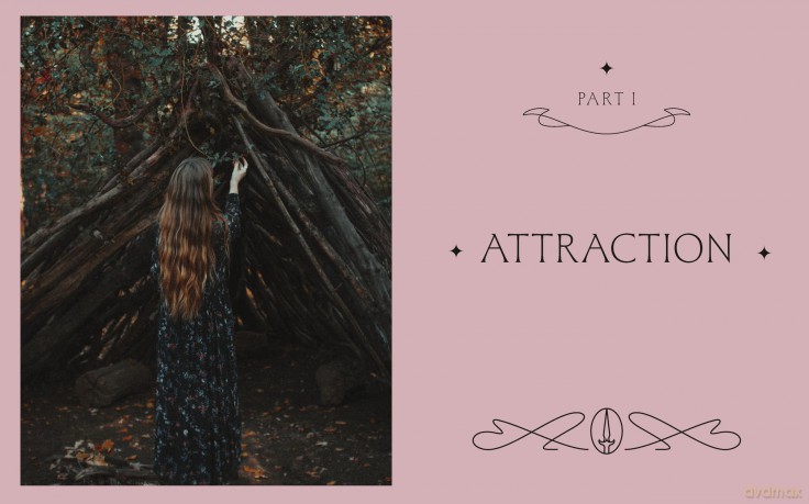 The Witch's Altar Book: The definitive guide to modern witchcraft - Lindsay Squire [KSIĄŻKA]