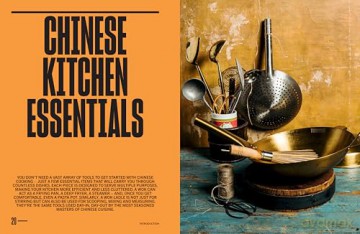 The Wolf of Wok Street: Restaurant-Quality Asian Food in 80+ Recipes - Vincent Lim [KSIĄŻKA]