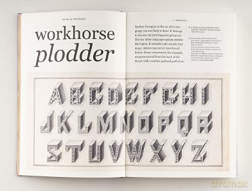 Theory of Type Design - Gerard Unger [KSIĄŻKA]