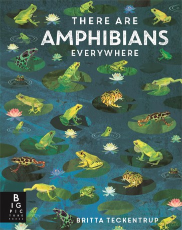 There Are Amphibians Everywhere - Camilla De La Bedoyere [KSIĄŻKA]