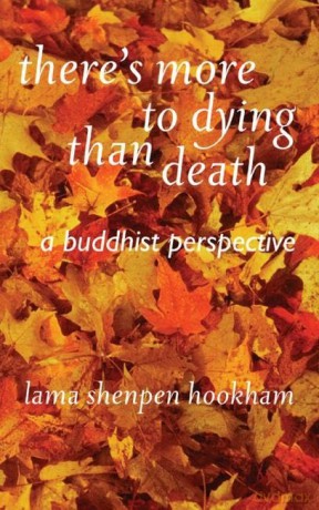 There's More to Dying Than Death: A Buddhist Perspective - Shenpen Hookham [KSIĄŻKA]