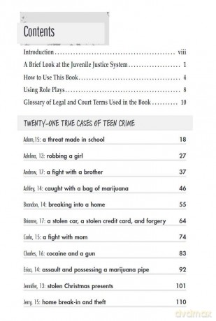 They Broke the Law - You be the Judge: True Cases of Teen Crime - Thomas A. Jacobs [KSIĄŻKA]