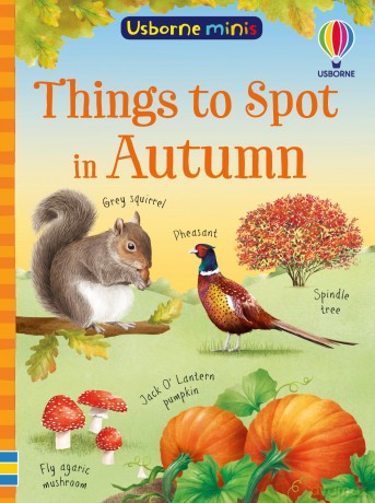 Things to Spot in Autumn - Simon Tudhope [KSIĄŻKA]