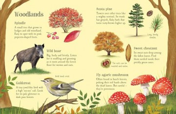 Things to Spot in Autumn - Simon Tudhope [KSIĄŻKA]