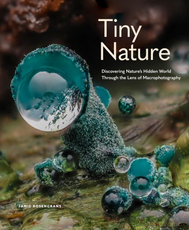 Tiny Nature: Discovering Nature's Hidden World Through the Lens of Macrophotography - Jamie Rosencrans [KSIĄŻKA]