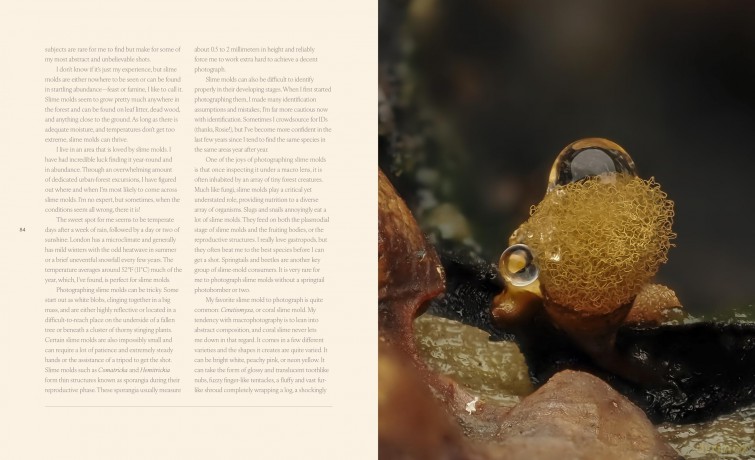 Tiny Nature: Discovering Nature's Hidden World Through the Lens of Macrophotography - Jamie Rosencrans [KSIĄŻKA]