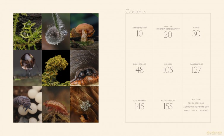 Tiny Nature: Discovering Nature's Hidden World Through the Lens of Macrophotography - Jamie Rosencrans [KSIĄŻKA]