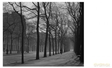 Todd Webb: Paris, A Love Story 1945-1952: 1948-1952 - Bill Shapiro [KSIĄŻKA]