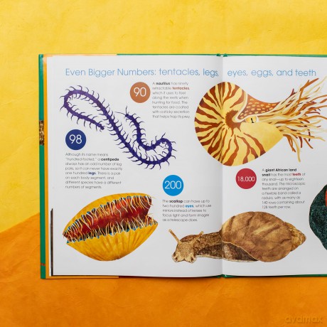Toes, Teeth, and Tentacles: A Curious Counting Book - Robin Page [KSIĄŻKA]