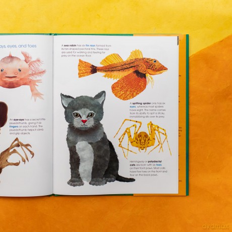 Toes, Teeth, and Tentacles: A Curious Counting Book - Robin Page [KSIĄŻKA]