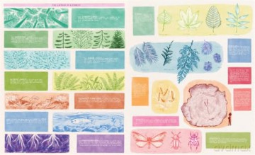 Together, a Forest: Drawing Connections Between Nature's Diversity and Our Own - Roz MacLean [KSIĄŻKA]