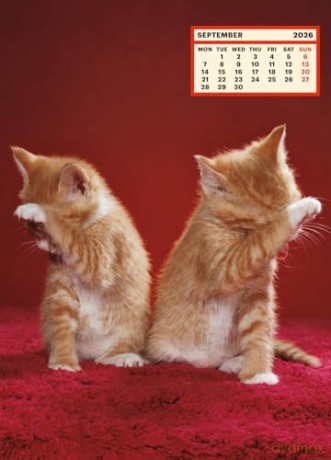 ToiletWalter PaperChandoha Calendar 2026: Walter Chandoha - Walter Chandoha [KSIĄŻKA]