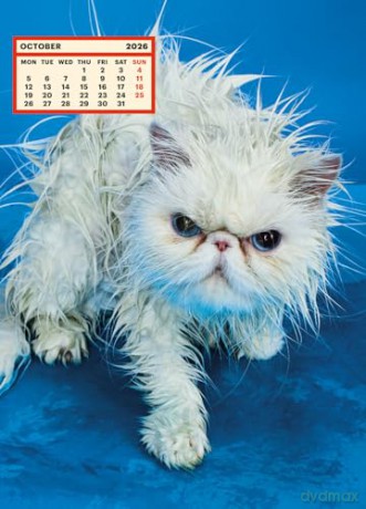 ToiletWalter PaperChandoha Calendar 2026: Walter Chandoha - Walter Chandoha [KSIĄŻKA]