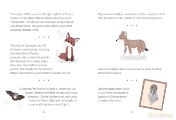 Trash Animals: The animal weirdos we secretly love - Rachel Federman [KSIĄŻKA]
