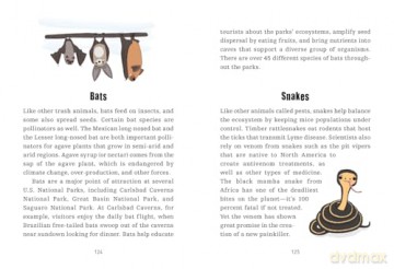 Trash Animals: The animal weirdos we secretly love - Rachel Federman [KSIĄŻKA]