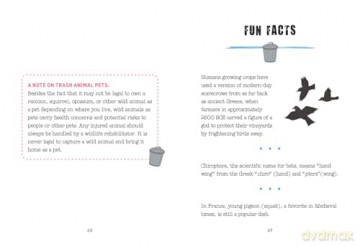 Trash Animals: The animal weirdos we secretly love - Rachel Federman [KSIĄŻKA]