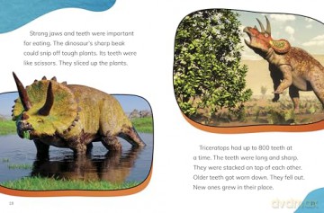 Triceratops - Laura K. Murray [KSIĄŻKA]