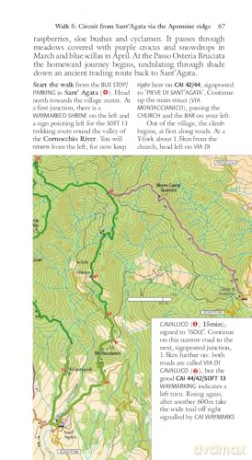 Tuscany Sunflower Walking Guide: 75 long and short walks and 8 car tours - Liz Mizon [KSIĄŻKA]