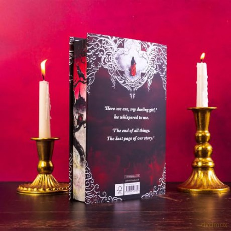 Two Twisted Crowns: the instant NEW YORK TIMES and USA TODAY bestseller - Rachel Gillig [KSIĄŻKA]