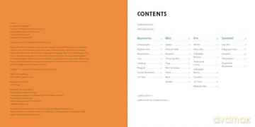 Ultimate Origami Challenge Kit for Kids 8-12: Fun Projects and Step-By-Step Folding Techniques to Go from Novice to Pro - Brian Soonho Yoon [KSIĄŻKA]