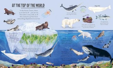 Under the Sea: Seek, find and celebrate nature's treasures with the Natural History Museum - Cameron Menzies [KSIĄŻKA]
