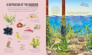 Under the Sea: Seek, find and celebrate nature's treasures with the Natural History Museum - Cameron Menzies [KSIĄŻKA]