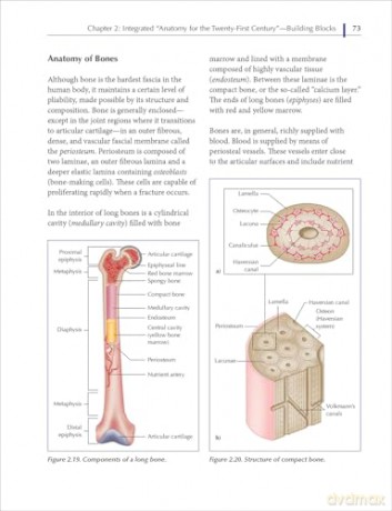 Understanding Fascia, Tensegrity, and Myofascial Trigger Points: A Roadmap for Fascia-Focused Therapists - John Sharkey [KSIĄŻKA]