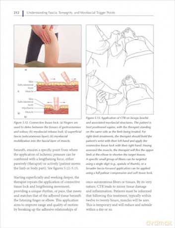 Understanding Fascia, Tensegrity, and Myofascial Trigger Points: A Roadmap for Fascia-Focused Therapists - John Sharkey [KSIĄŻKA]