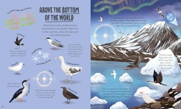 Up in the Air: Seek, find and celebrate nature's treasures with the Natural History Museum - Cameron Menzies [KSIĄŻKA]