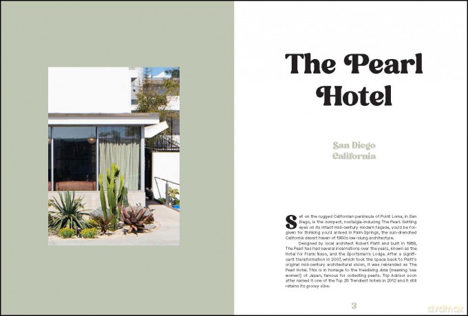 Vintage Motels: America's Most Iconic Motels, Beautifully Restored - Ellie Seymour [KSIĄŻKA]