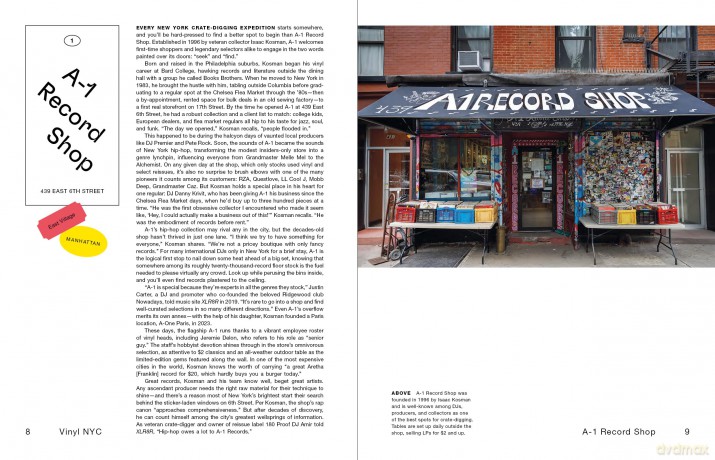 VINYL NYC: 33 1/3 of the Best Record Stores Across All Five Boroughs - Hattie Lindert [KSIĄŻKA]