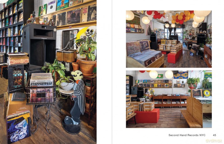 VINYL NYC: 33 1/3 of the Best Record Stores Across All Five Boroughs - Hattie Lindert [KSIĄŻKA]