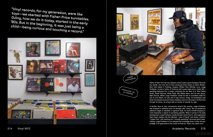 VINYL NYC: 33 1/3 of the Best Record Stores Across All Five Boroughs - Hattie Lindert [KSIĄŻKA]