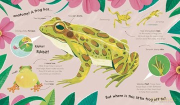 Watch Me Grow: Frogs - Sara Forster [KSIĄŻKA]