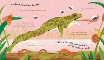 Watch Me Grow: Frogs - Sara Forster [KSIĄŻKA]