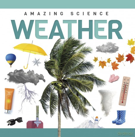Weather - Rebecca Phillips-Bartlett [KSIĄŻKA]