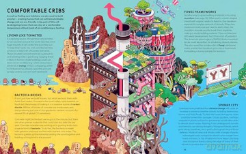 Weird and Wonderful Ways to Save the Planet: Medical Mucus, Poo Power and Beetles for Breakfast - Madeleine Finlay [KSIĄŻKA]