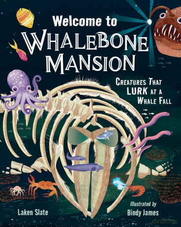 Welcome to Whalebone Mansion: Creatures That Lurk at a Whale Fall - Laken Slate [KSIĄŻKA]
