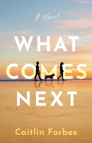 What Comes Next: A Novel - Caitlin Forbes [KSIĄŻKA]