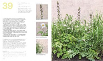 What Grows Together: THE INSTANT SUNDAY TIMES BESTSELLER - Jamie Butterworth [KSIĄŻKA]