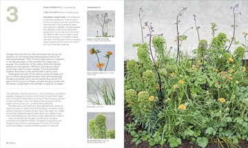 What Grows Together: THE INSTANT SUNDAY TIMES BESTSELLER - Jamie Butterworth [KSIĄŻKA]