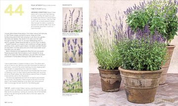 What Grows Together: THE INSTANT SUNDAY TIMES BESTSELLER - Jamie Butterworth [KSIĄŻKA]