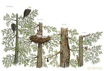 When a Tree Falls: Nurse Logs and Their Incredible Forest Power - Kirsten Pendreigh [KSIĄŻKA]