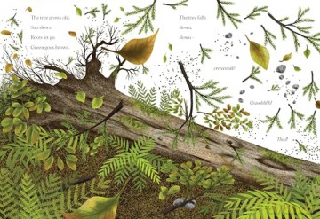 When a Tree Falls: Nurse Logs and Their Incredible Forest Power - Kirsten Pendreigh [KSIĄŻKA]