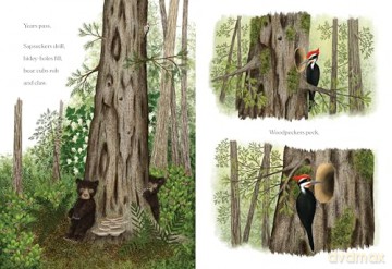When a Tree Falls: Nurse Logs and Their Incredible Forest Power - Kirsten Pendreigh [KSIĄŻKA]
