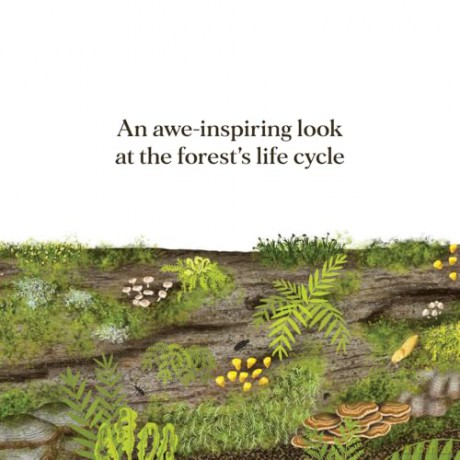 When a Tree Falls: Nurse Logs and Their Incredible Forest Power - Kirsten Pendreigh [KSIĄŻKA]