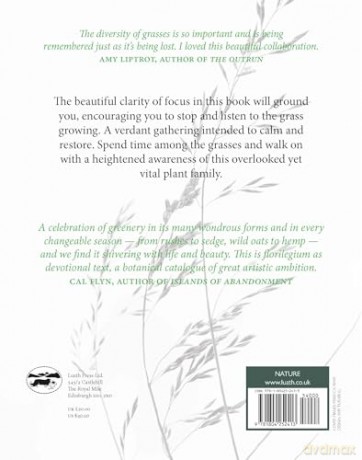 When the Grass Dances - 'A celebration of greenery in its many wondrous forms and in every changeable season.' CAL FLYN, Writer - Valerie Gillies [KSIĄŻKA]