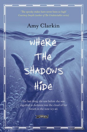 Where the Shadows Hide - Amy Clarkin [KSIĄŻKA]