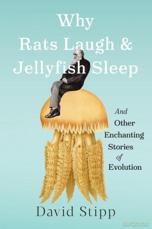 Why Rats Laugh and Jellyfish Sleep: and Other Enchanting Stories of Evolution - David Stipp [KSIĄŻKA]