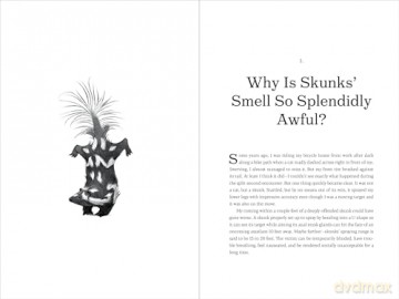 Why Rats Laugh and Jellyfish Sleep: and Other Enchanting Stories of Evolution - David Stipp [KSIĄŻKA]